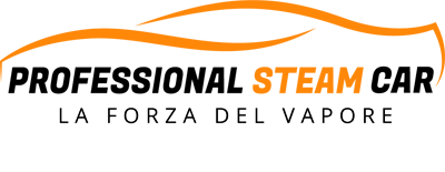 logo-PROFESSIONALCAR2